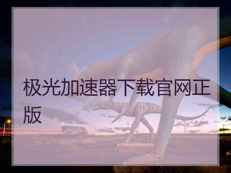 极光加速器下载官网正版