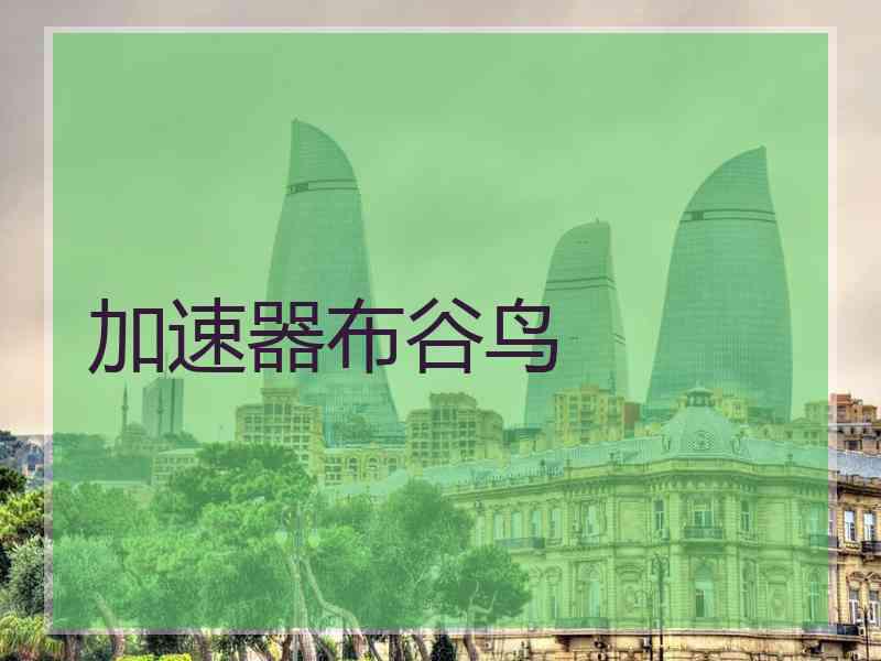 加速器布谷鸟
