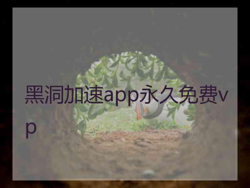 黑洞加速app永久免费vp