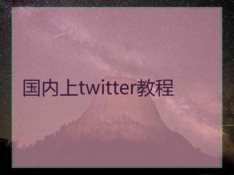 国内上twitter教程