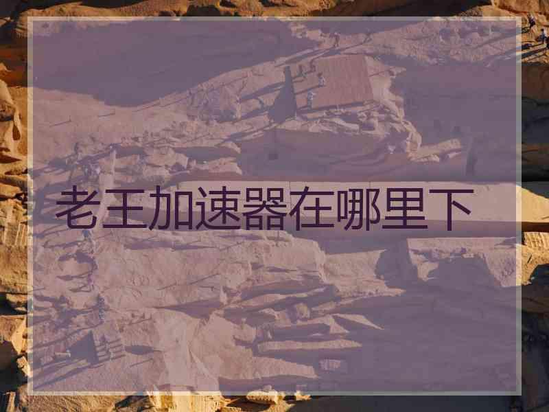 老王加速器在哪里下