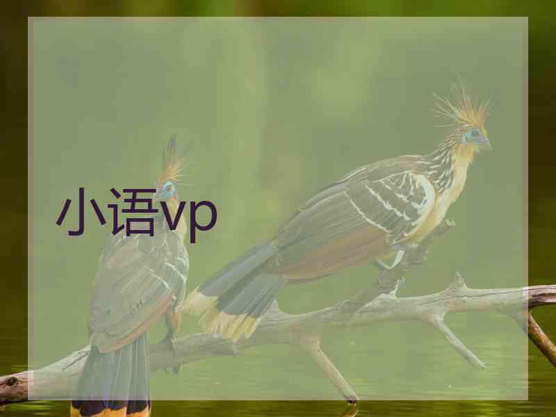 小语vp