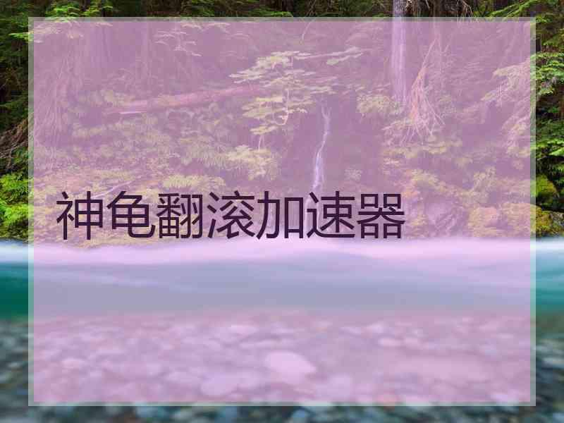 神龟翻滚加速器