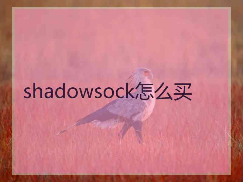 shadowsock怎么买