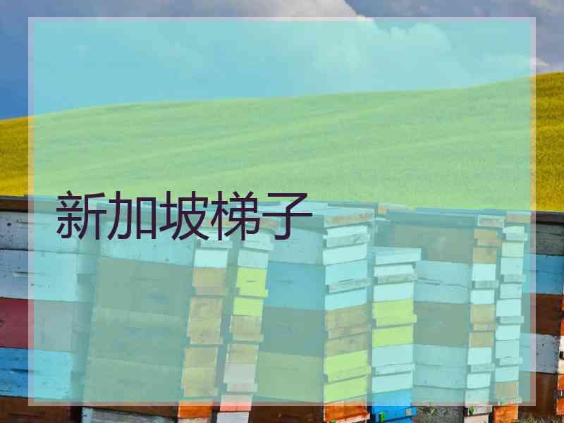新加坡梯子