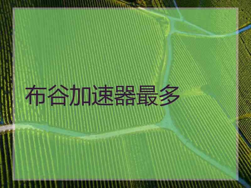 布谷加速器最多