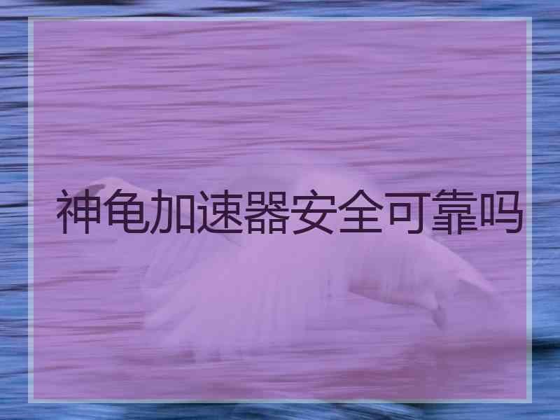 神龟加速器安全可靠吗