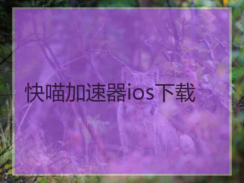 快喵加速器ios下载