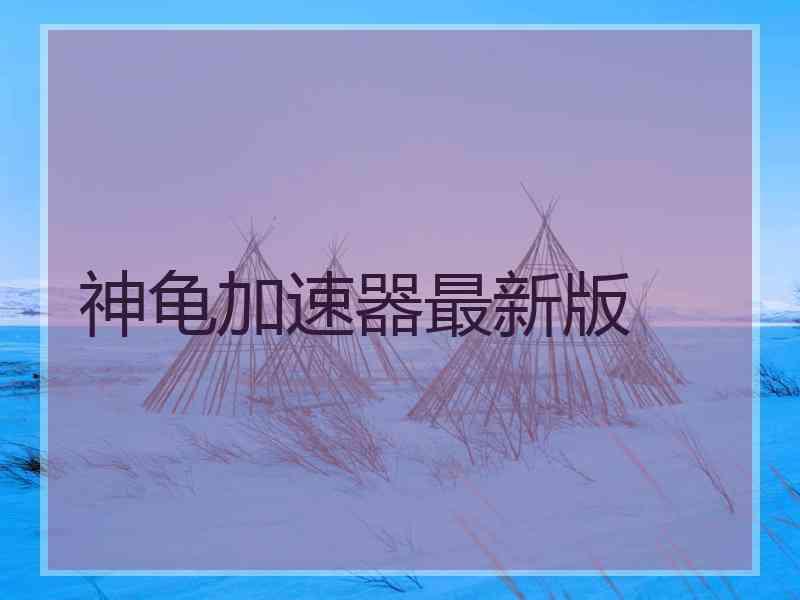 神龟加速器最新版