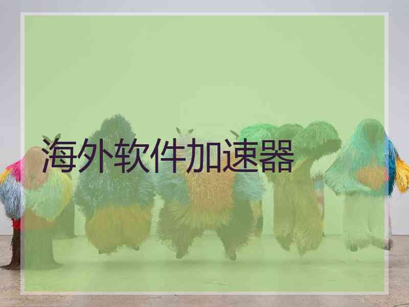海外软件加速器