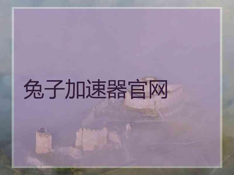 兔子加速器官网
