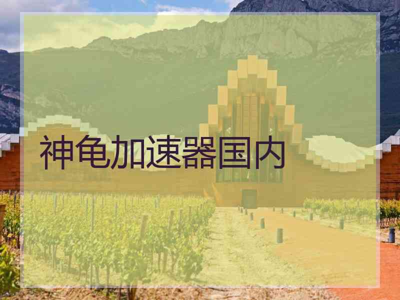 神龟加速器国内