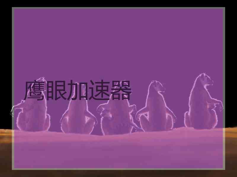 鹰眼加速器