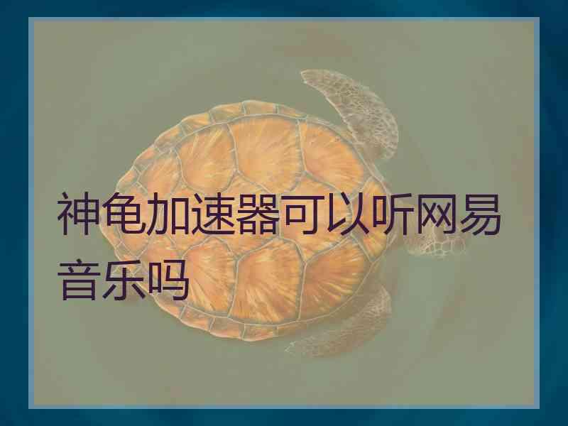 神龟加速器可以听网易音乐吗
