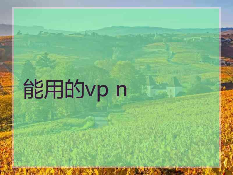 能用的vp n