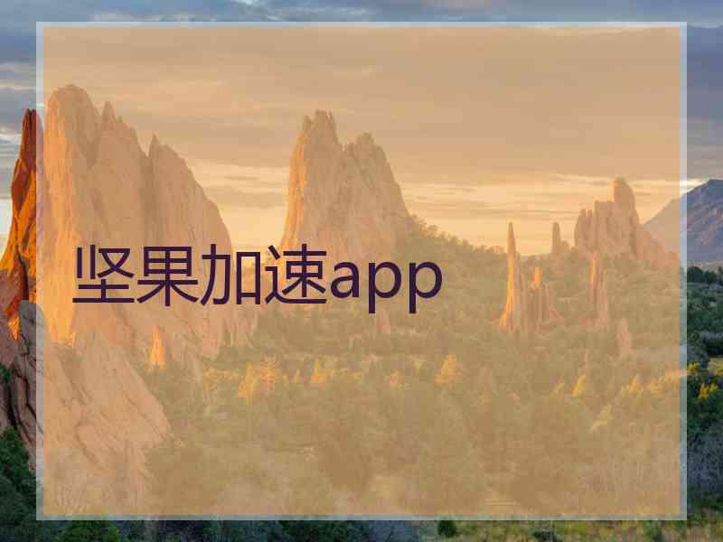 坚果加速app