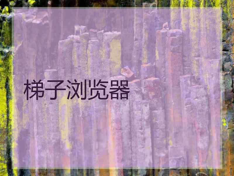 梯子浏览器