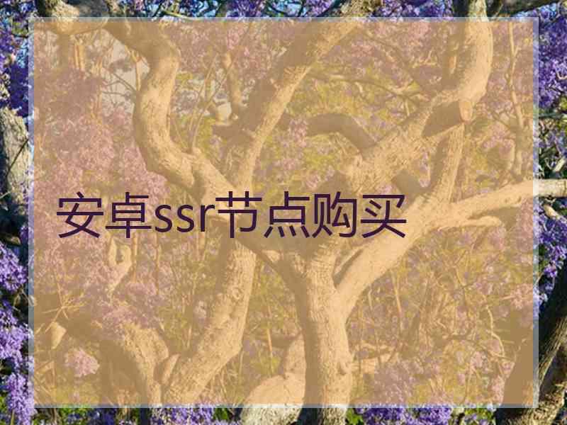 安卓ssr节点购买