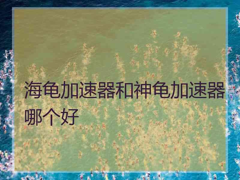 海龟加速器和神龟加速器哪个好