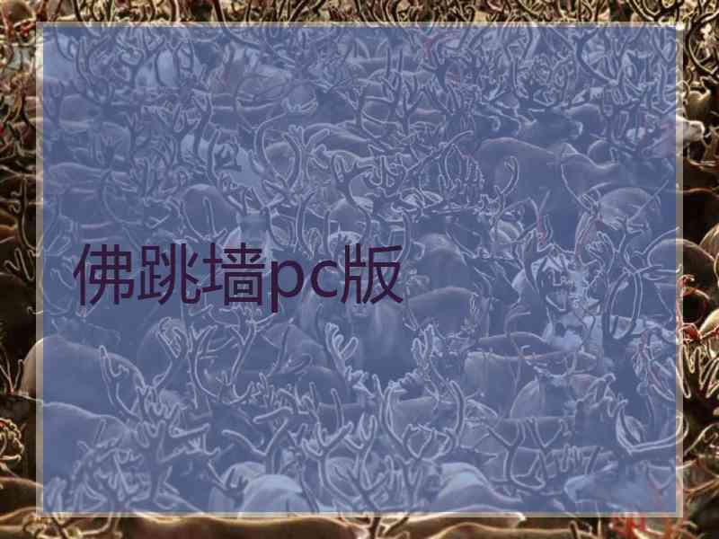 佛跳墙pc版