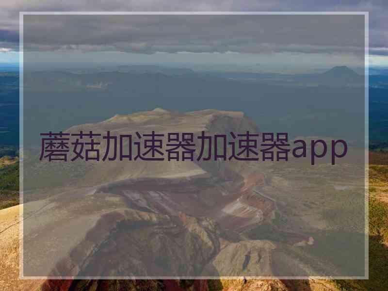 蘑菇加速器加速器app