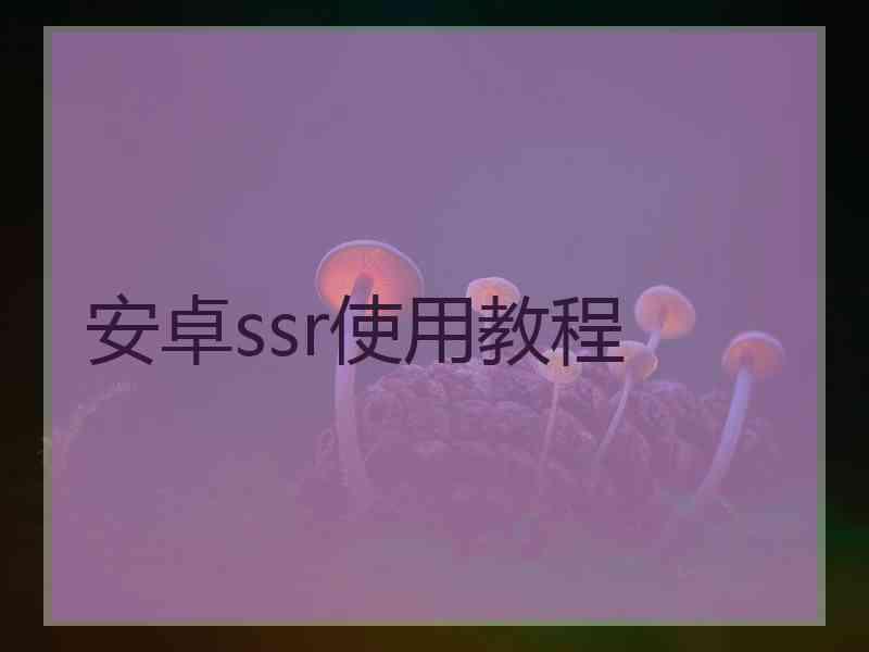 安卓ssr使用教程