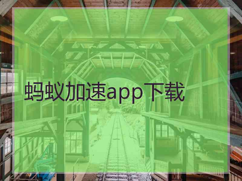 蚂蚁加速app下载