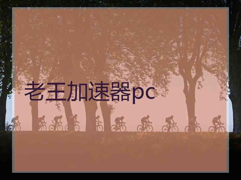 老王加速器pc