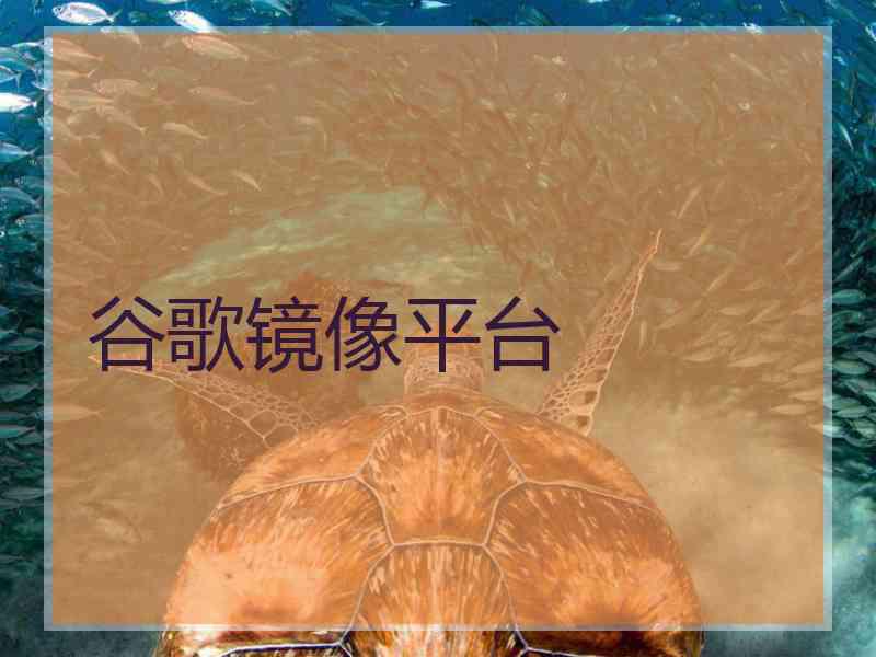 谷歌镜像平台