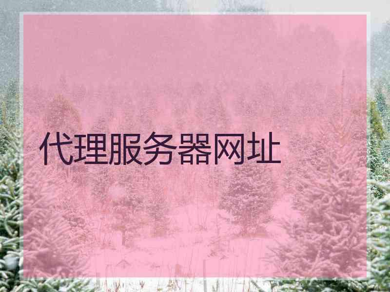 代理服务器网址