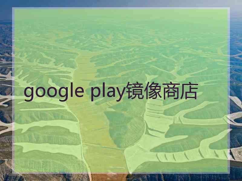 google play镜像商店