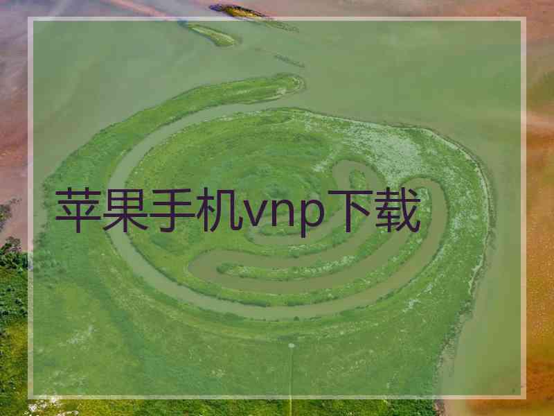 苹果手机vnp下载