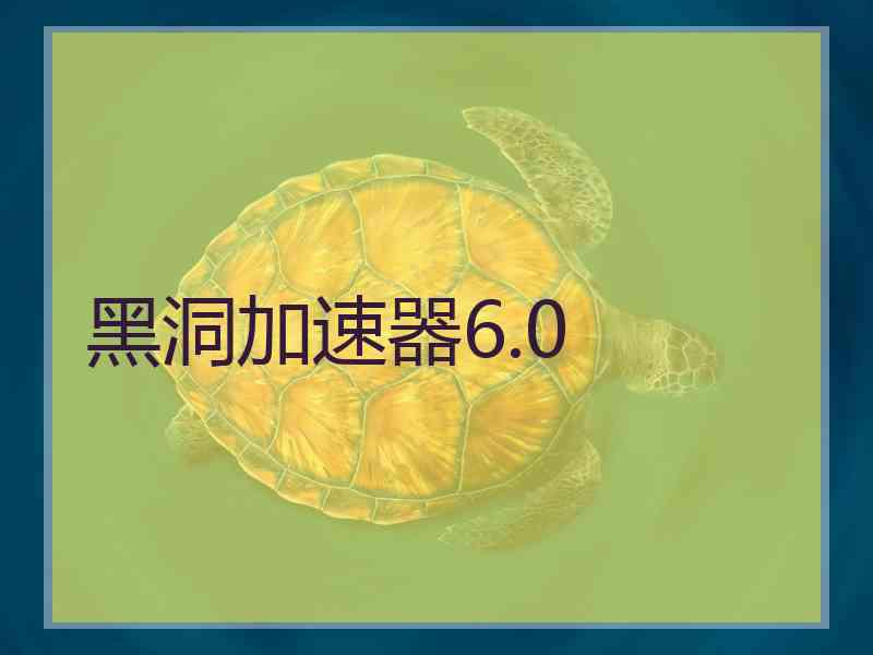 黑洞加速器6.0