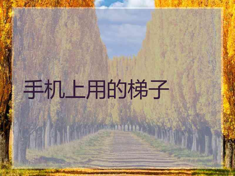 手机上用的梯子