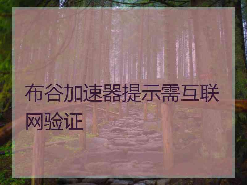 布谷加速器提示需互联网验证