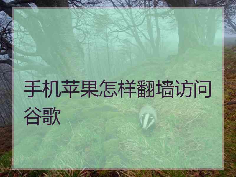 手机苹果怎样翻墙访问谷歌