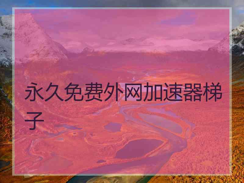永久免费外网加速器梯子