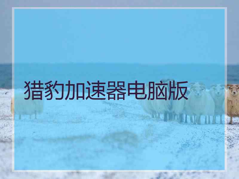 猎豹加速器电脑版