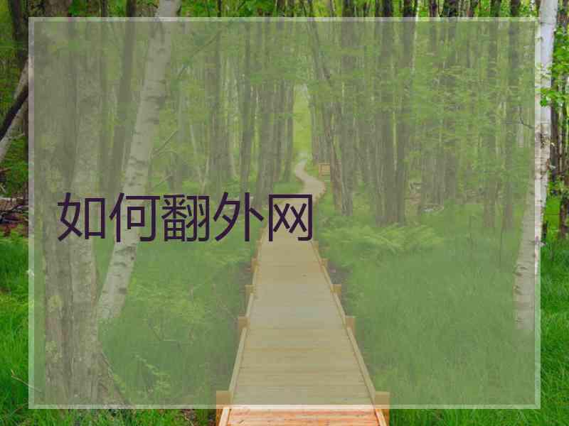 如何翻外网