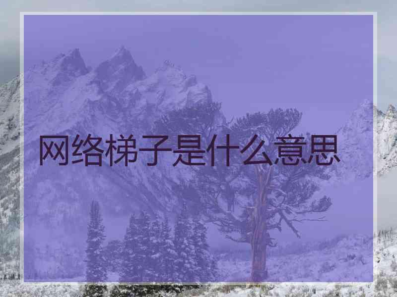 网络梯子是什么意思