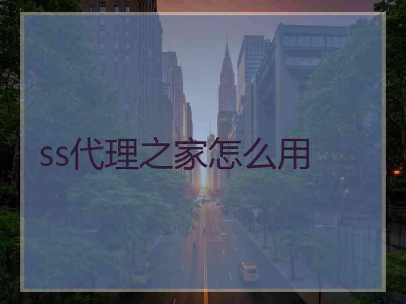 ss代理之家怎么用