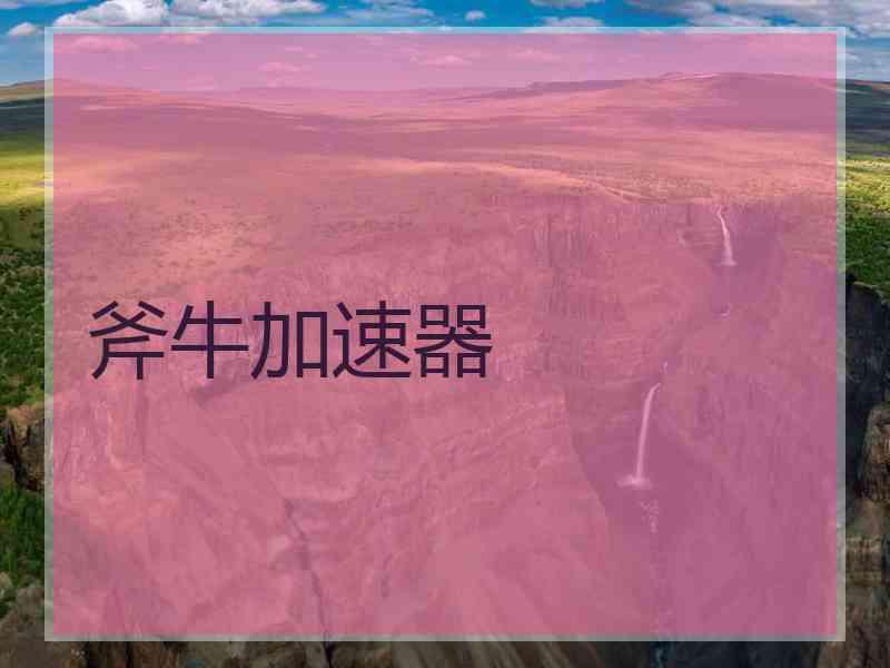 斧牛加速器