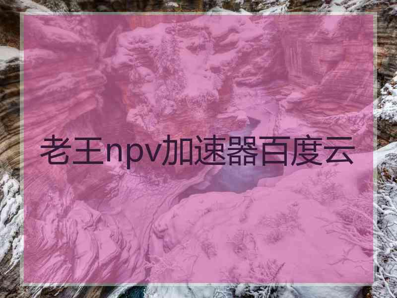 老王npv加速器百度云