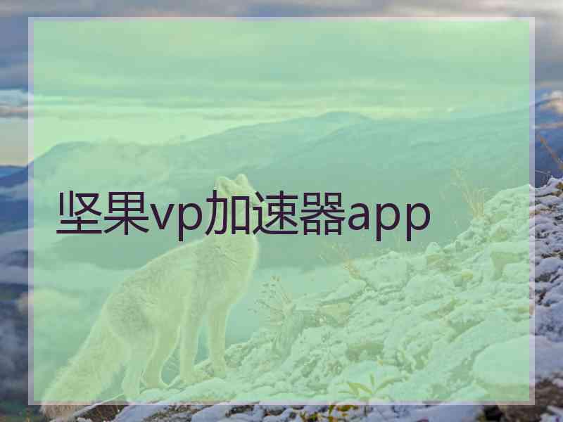 坚果vp加速器app