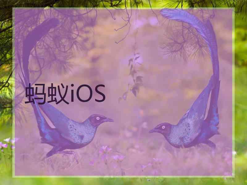 蚂蚁iOS