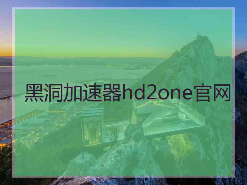 黑洞加速器hd2one官网