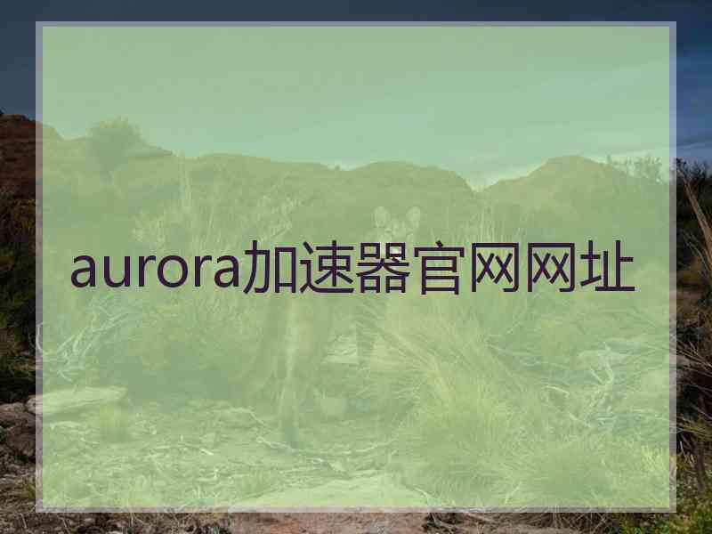 aurora加速器官网网址