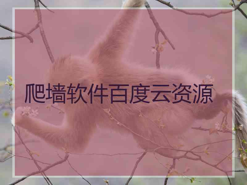 爬墙软件百度云资源