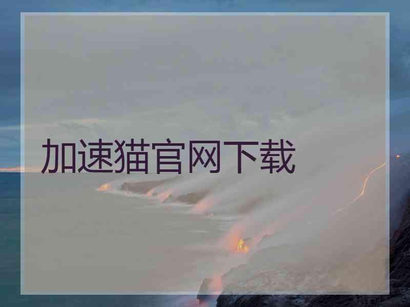 加速猫官网下载
