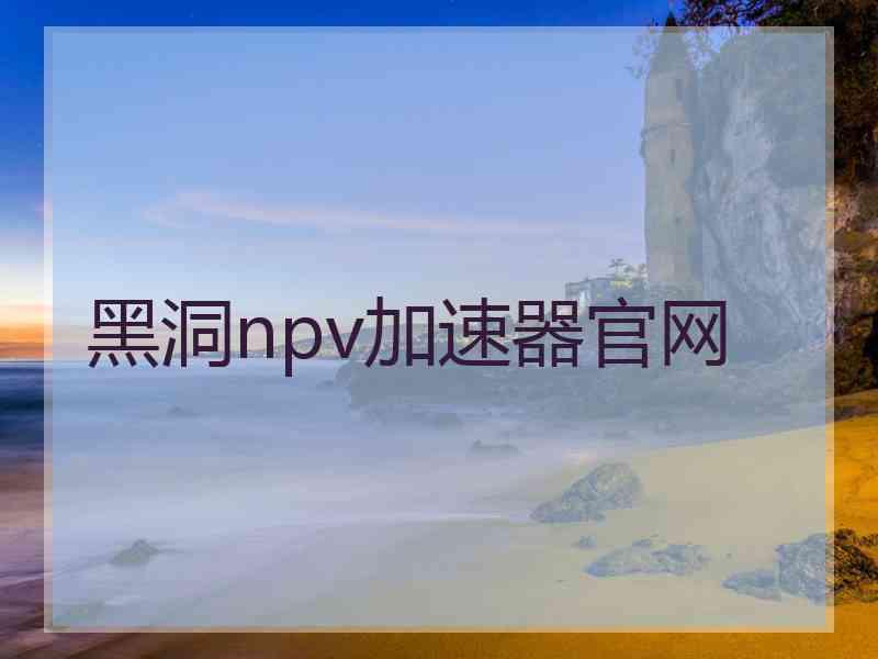 黑洞npv加速器官网